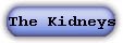 Kidney Page