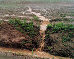 Example of soilerosion from runoff