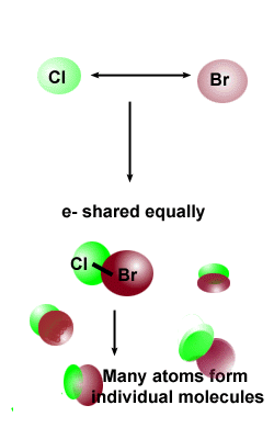 Covalent Bond