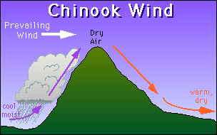 Chinook Winds