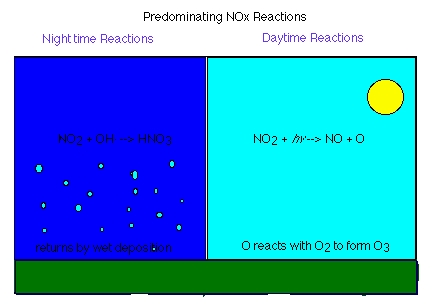 image comparing daytime and nightime reactions