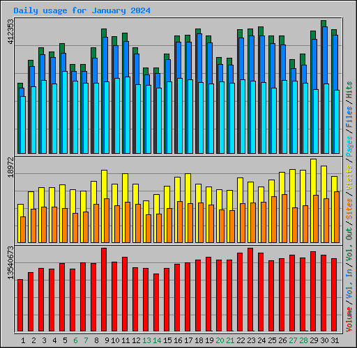 Daily usage for January 2024