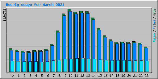 Hourly usage for March 2021
