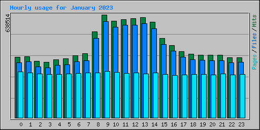 Hourly usage for January 2023