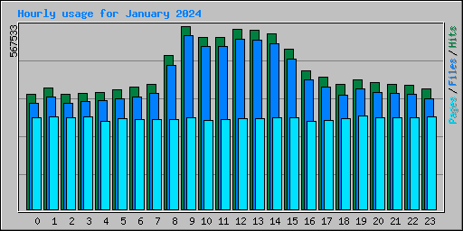Hourly usage for January 2024