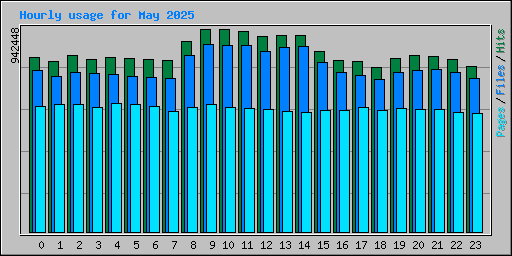 Hourly usage for May 2025