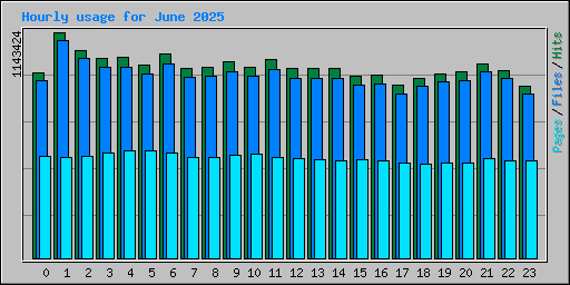 Hourly usage for June 2025