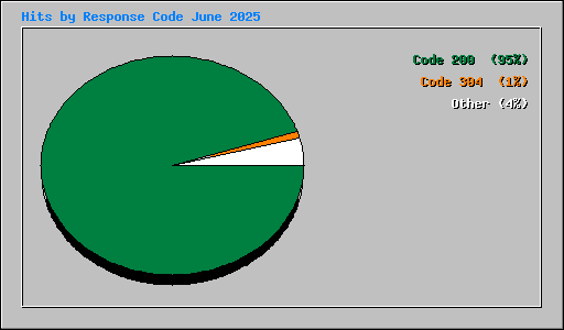 Hits by Response Code June 2025