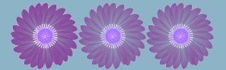 Web Banner from one of my Abstract Logos; Duplication to create a purple flower