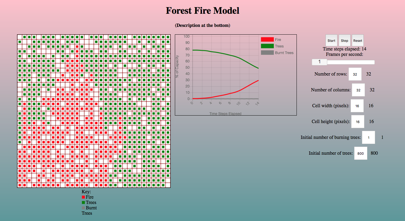 Forest Fire Model