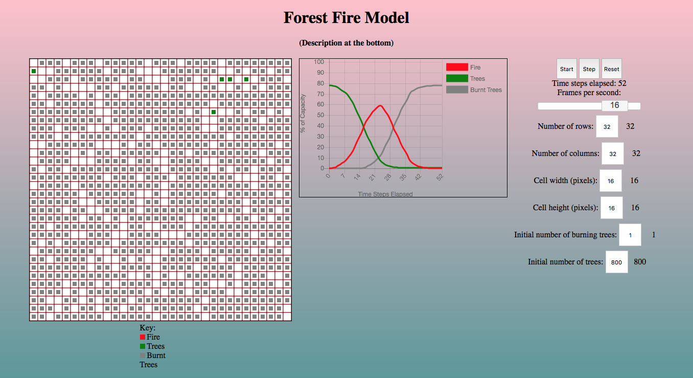 Forest Fire Model