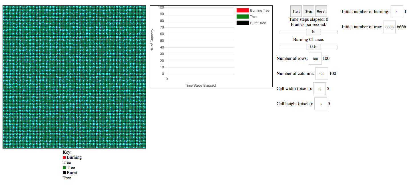 Forest Fire Model
