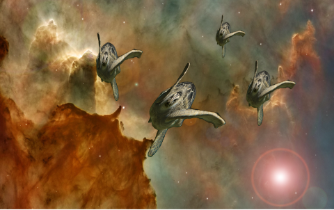 A flock of turtles in space