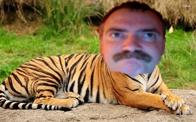 Ernie The Tiger